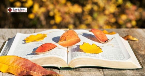 Buch, Herbstlaub