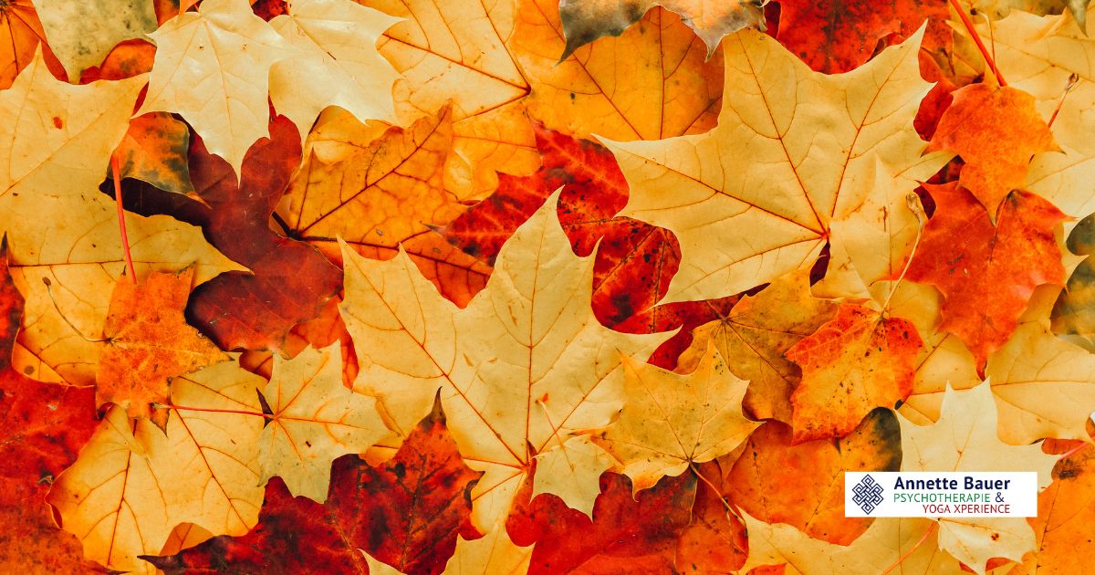 Herbstlaub, Herbst Workshop Yoga & Ayurveda Annette Bauer Yoga Xperience