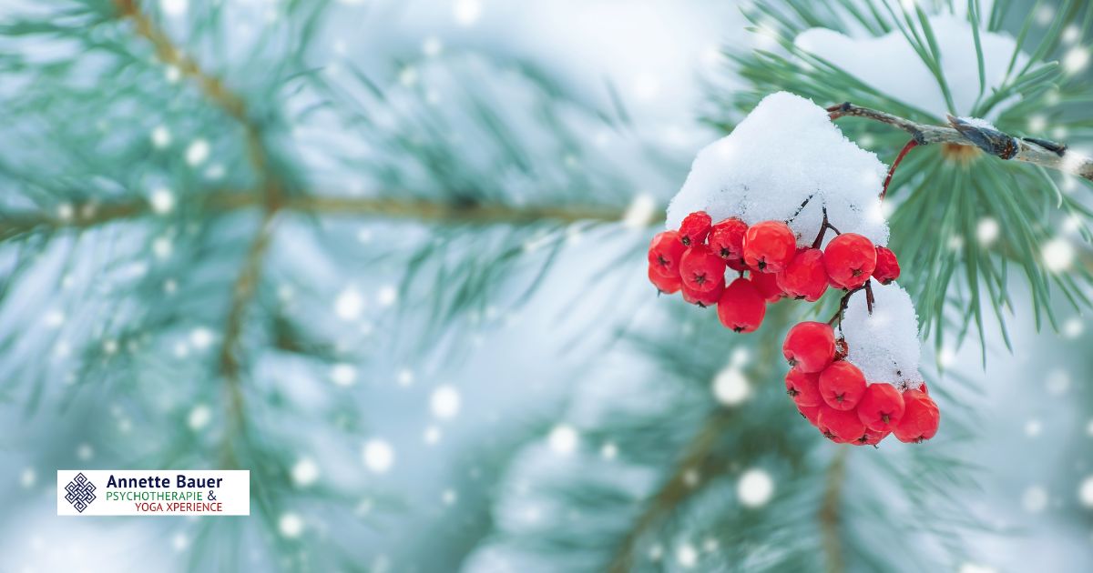 Schnee, Tanne, rote Beeren, Winter Workshop Yoga & Ayurveda Annette Bauer Yoga Xperience