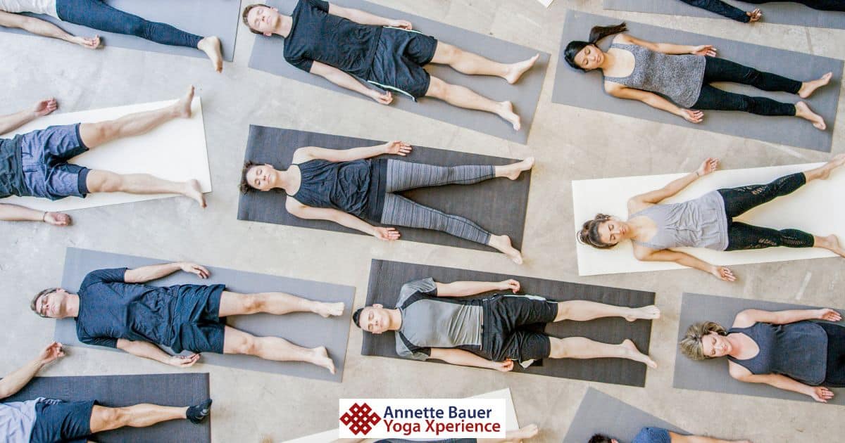 Menschen, Yogamatten, Entspannung, YOGAKURSE ab September Annette Bauer Yoga Xperience neu